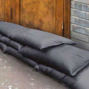 Silverback Flood Pillow 30cm x 60cm